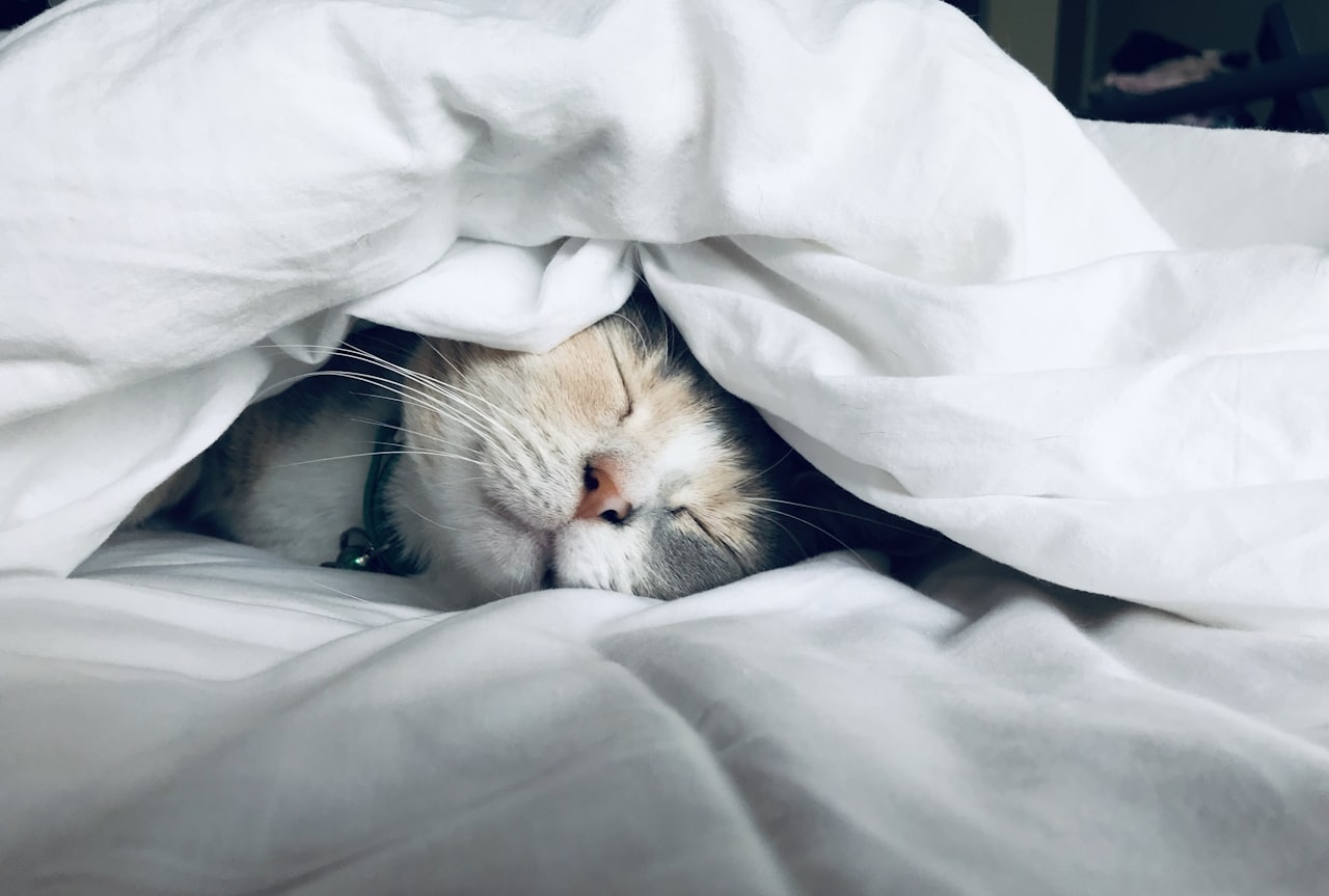 Sono e recuperação